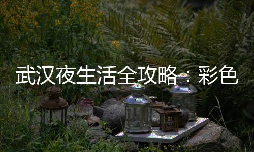 追寻茶叶的足迹：武汉品茶网的奇幻之旅